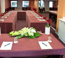 Hotel Giberti Meeting