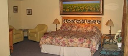 Vineyard Inn Hotel Room