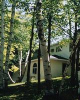 White Birch Inn