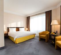 Rahat Palace Hotel Room