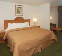 Quality Inn & Suites Franklin Room