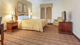 Comfort Inn & Suites Patriots Point Room