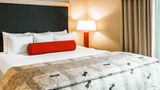 <b>Cambria hotel & suites Rapid City Room</b>. Images powered by <a href="https://iceportal.shijigroup.com/" title="IcePortal" target="_blank">IcePortal</a>.