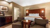 Comfort Inn Downtown Suite