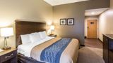 Comfort Inn & Suites Room