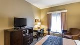 Comfort Inn & Suites Room