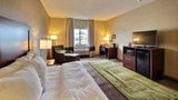 Comfort Inn Edinburg Room