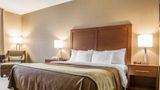 Comfort Inn Edinburg Room