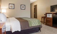 Comfort Inn Edinburg
