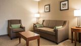 Comfort Inn Edinburg Suite