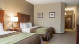 Comfort Inn Edinburg Suite