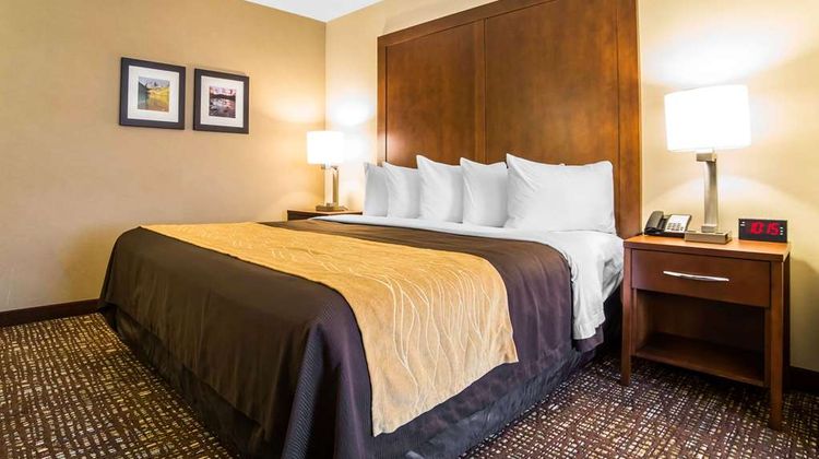 Comfort Inn & Suites Room