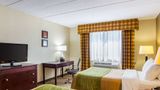 <b>Comfort Inn Dulles Intl Airport Room</b>. Images powered by <a href="https://iceportal.shijigroup.com/" title="IcePortal" target="_blank">IcePortal</a>.