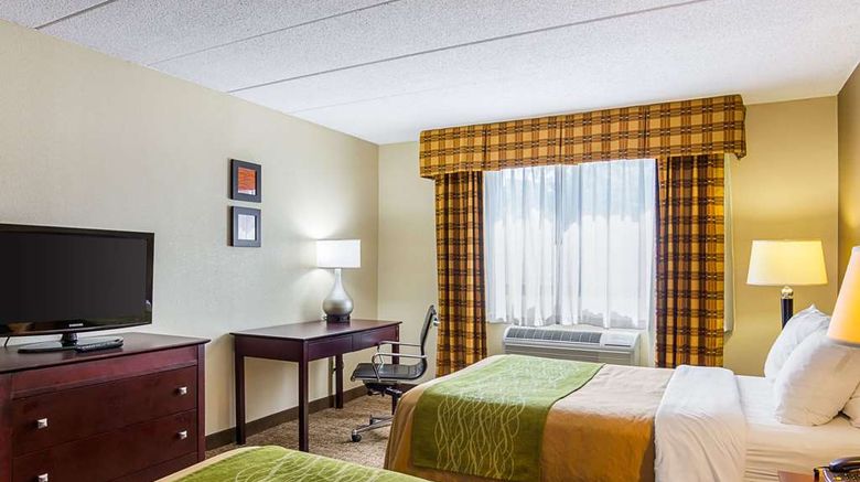 <b>Comfort Inn Dulles Intl Airport Room</b>. Images powered by <a href="https://iceportal.shijigroup.com/" title="IcePortal" target="_blank">IcePortal</a>.