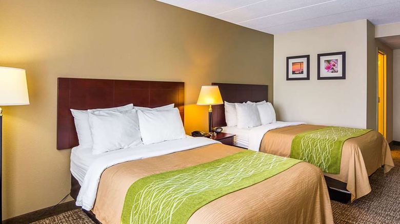 <b>Comfort Inn Dulles Intl Airport Room</b>. Images powered by <a href="https://iceportal.shijigroup.com/" title="IcePortal" target="_blank">IcePortal</a>.
