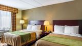 <b>Comfort Inn Dulles Intl Airport Room</b>. Images powered by <a href="https://iceportal.shijigroup.com/" title="IcePortal" target="_blank">IcePortal</a>.