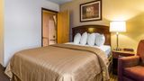 Quality Inn Room