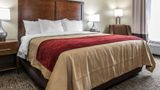 Comfort Inn & Suites at Mount Sterling Room