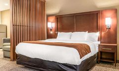 Comfort Suites Florence