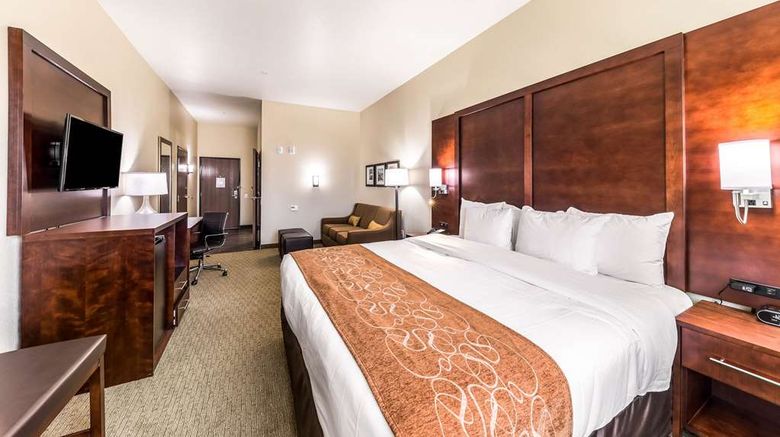 <b>Comfort Suites Arlington North Room</b>. Images powered by <a href="https://iceportal.shijigroup.com/" title="IcePortal" target="_blank">IcePortal</a>.