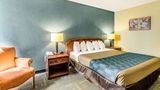 Econo Lodge Inn & Suites Room