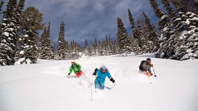 <b>Hotel Terra Jackson Hole Recreation</b>. Images powered by <a href="https://iceportal.shijigroup.com/" title="IcePortal" target="_blank">IcePortal</a>.