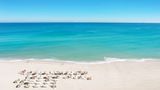 Sole Miami, A Noble House Resort Beach