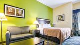 Quality Inn & Suites Glenmont - Albany S Room