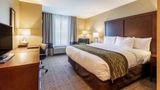 Comfort Inn & Suites-Harrisburg Airport Room