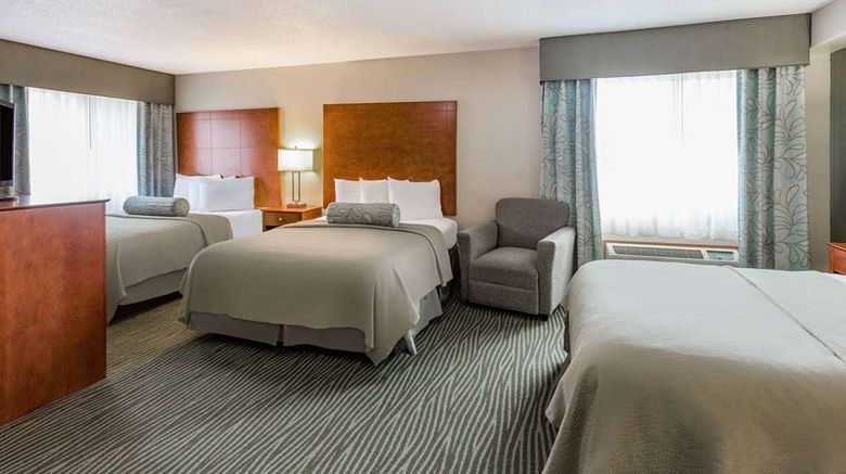 <b>AmericInn by Wyndham Des Moines Room</b>. Images powered by <a href="https://iceportal.shijigroup.com/" title="IcePortal" target="_blank">IcePortal</a>.