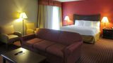 <b>Quality Inn & Suites Owego Room</b>. Images powered by <a href="https://iceportal.shijigroup.com/" title="IcePortal" target="_blank">IcePortal</a>.
