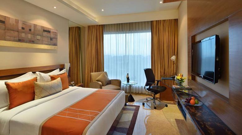 <b>Radisson Blu Kaushambi Delhi NCR Room</b>. Images powered by <a href="https://iceportal.shijigroup.com/" title="IcePortal" target="_blank">IcePortal</a>.