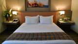 Hotel Tulip Inn Naya Room