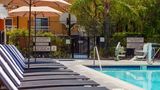 Clementine Hotel & Suites Pool