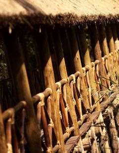 Jambo Impala EcoLodge