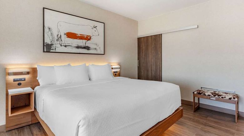 <b>Cambria Hotel Dallas/Richardson Suite</b>. Images powered by <a href="https://iceportal.shijigroup.com/" title="IcePortal" target="_blank">IcePortal</a>.