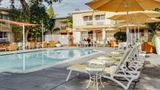 Wild Palms Hotel Pool