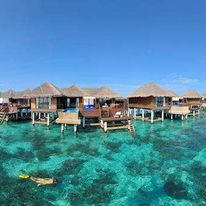 Coco Palm Bodu Hithi