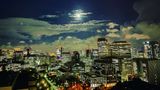 <b>The Capitol Hotel Tokyu Room</b>. Images powered by <a href=https://www.travelagewest.com/Hotels/Tokyo/