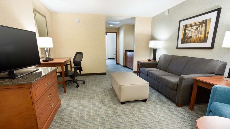 <b>Drury Inn & Suites Grand Rapids Room</b>. Images powered by <a href="https://iceportal.shijigroup.com/" title="IcePortal" target="_blank">IcePortal</a>.