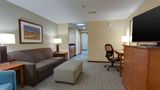 Drury Inn & Suites Gainesville Room