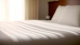 <b>Hyatt Place Fishers Room</b>. Images powered by <a href="https://iceportal.shijigroup.com/" title="IcePortal" target="_blank">IcePortal</a>.