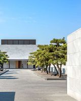 Amanyangyun