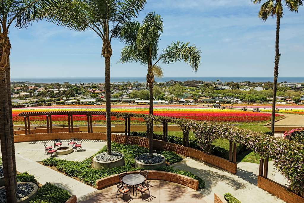 Find Hotels Near Grand Pacific Palisades Resort Hotel Carlsbad