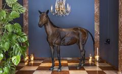 Grand Ferdinand Vienna