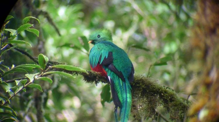 Monteverde Lodge Other