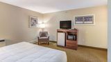 Quality Inn & Suites Room