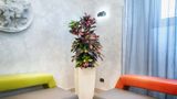 Hotel Varese Rome Lobby