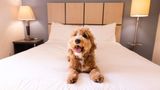 <b>Sonesta Simply Suites Cleveland North Olmsted Other</b>. Images powered by <a href="https://iceportal.shijigroup.com/" title="IcePortal" target="_blank">IcePortal</a>.