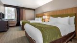 <b>Comfort Inn & Suites Syracuse N. Airport Suite</b>. Images powered by <a href="https://iceportal.shijigroup.com/" title="IcePortal" target="_blank">IcePortal</a>.